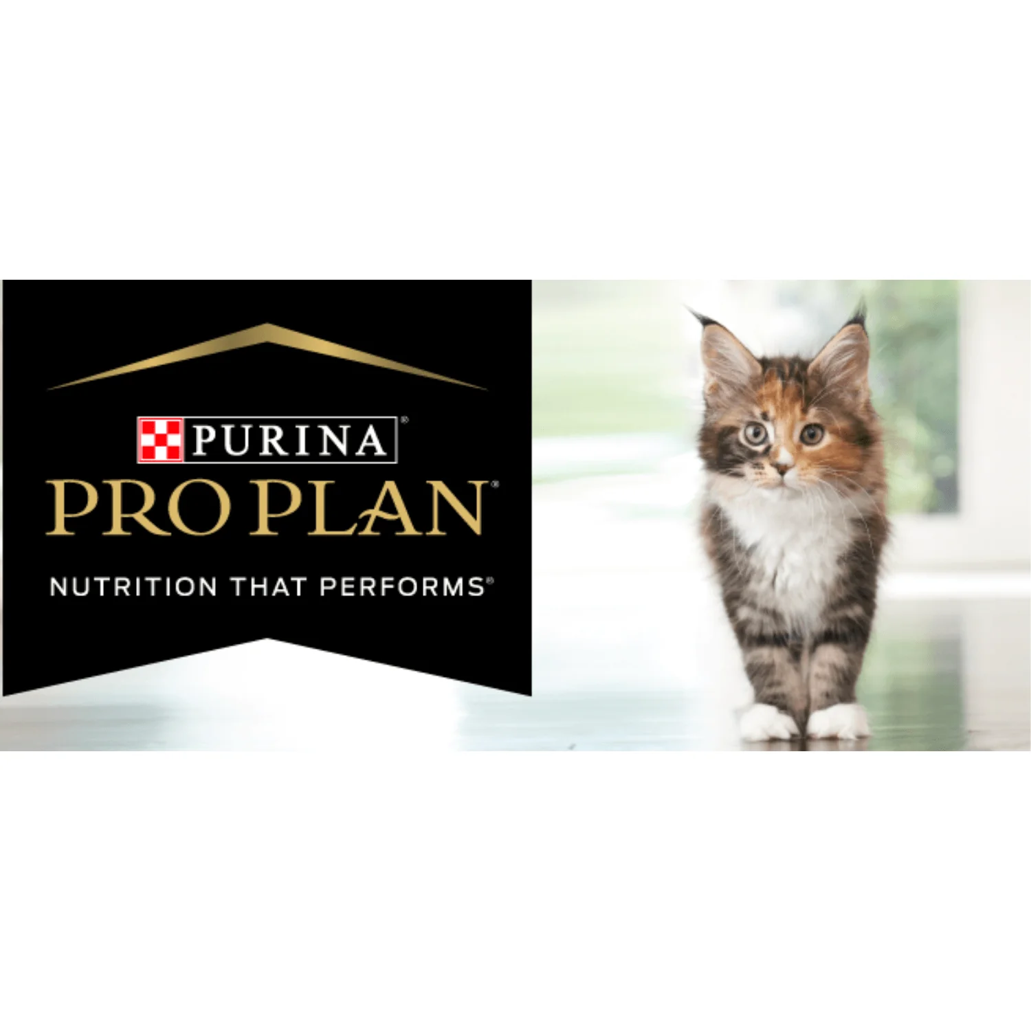 Purina Pro Plan® DEVELOPMENT Chicken &amp; Liver Entrée Wet Kitten Food Pâté – 3 oz - Image 2