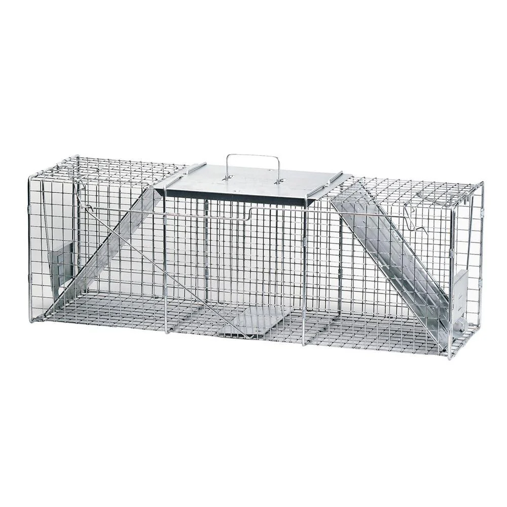 Raccoon Trap