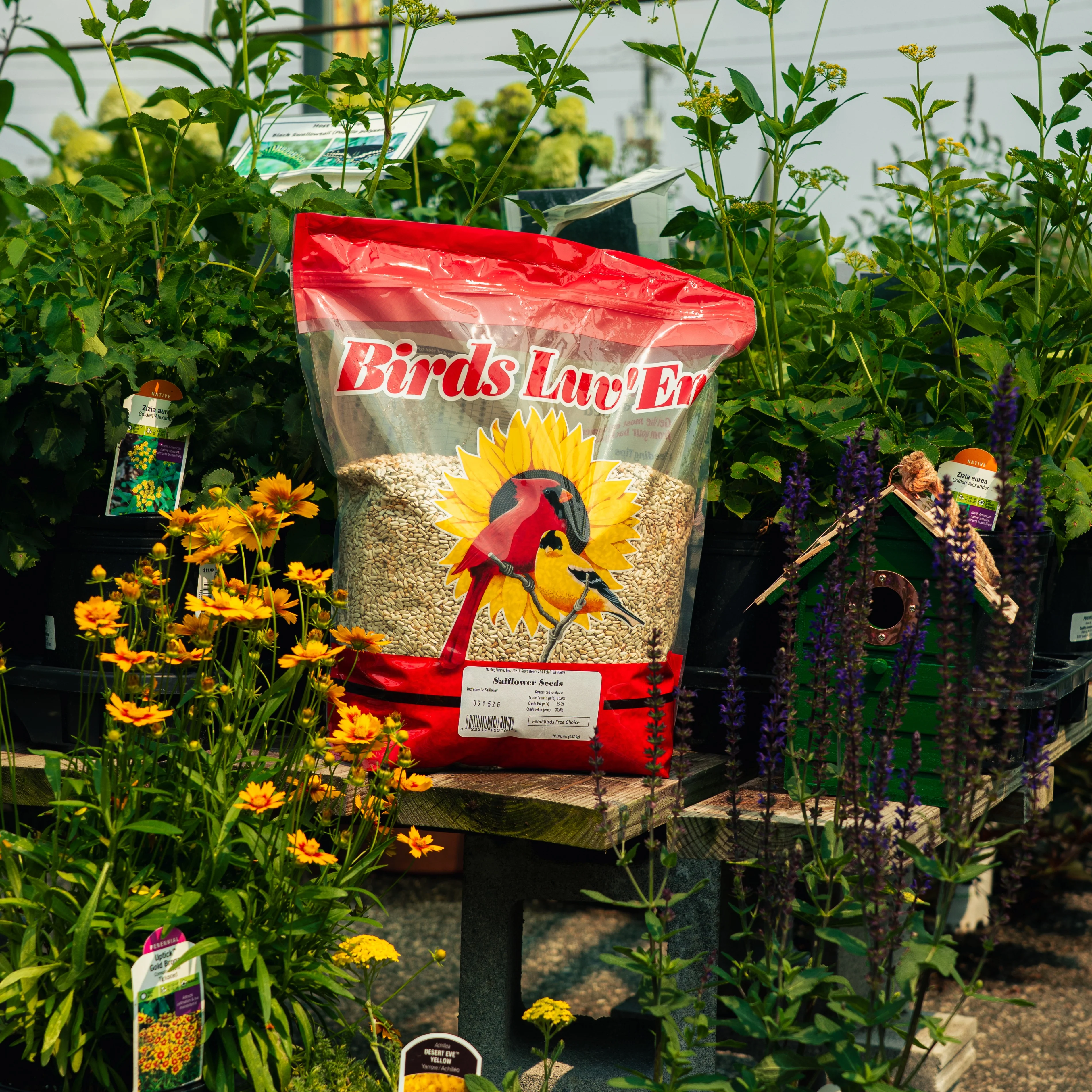 Safflower Seed Wild Bird Food