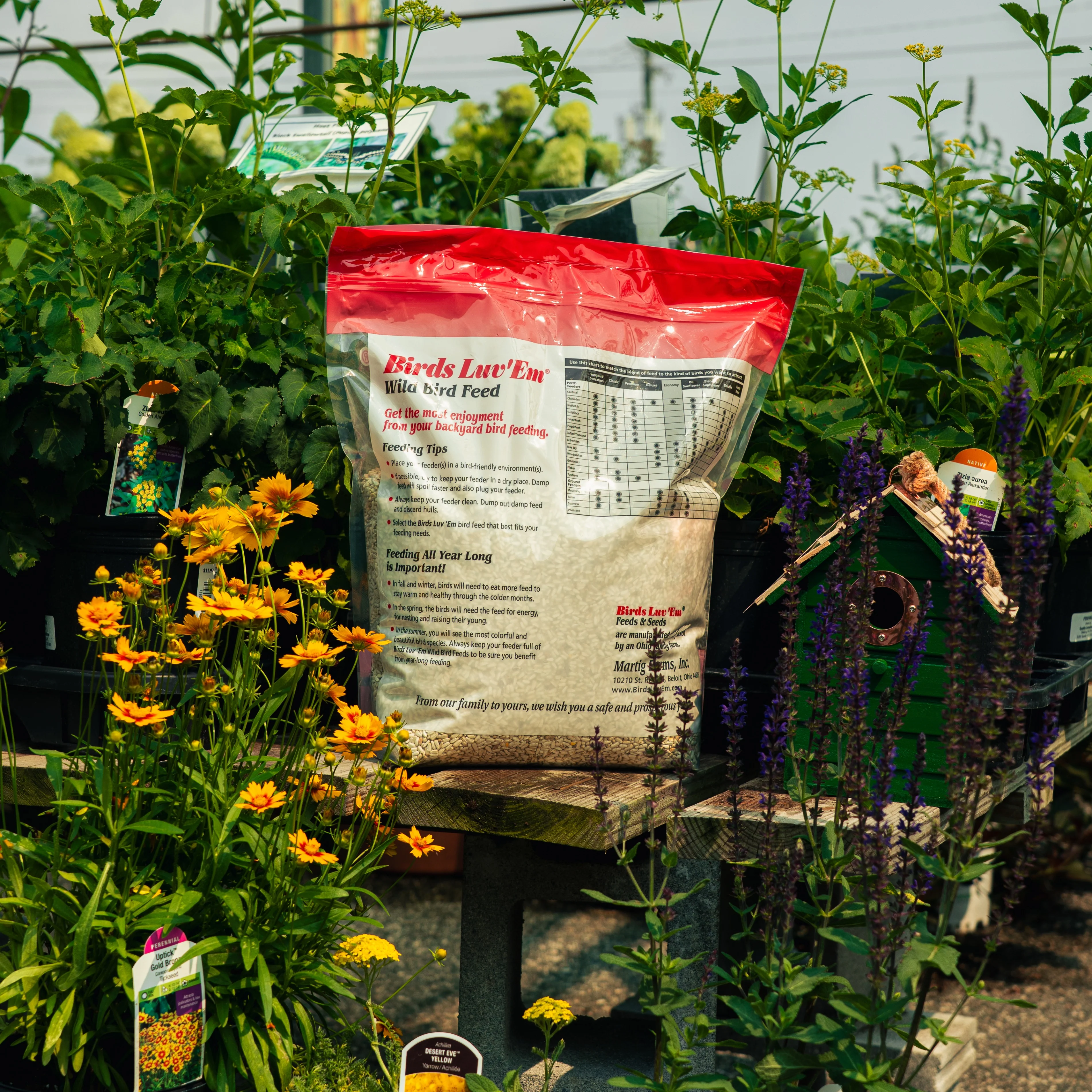 Safflower Seed Wild Bird Food - Image 2