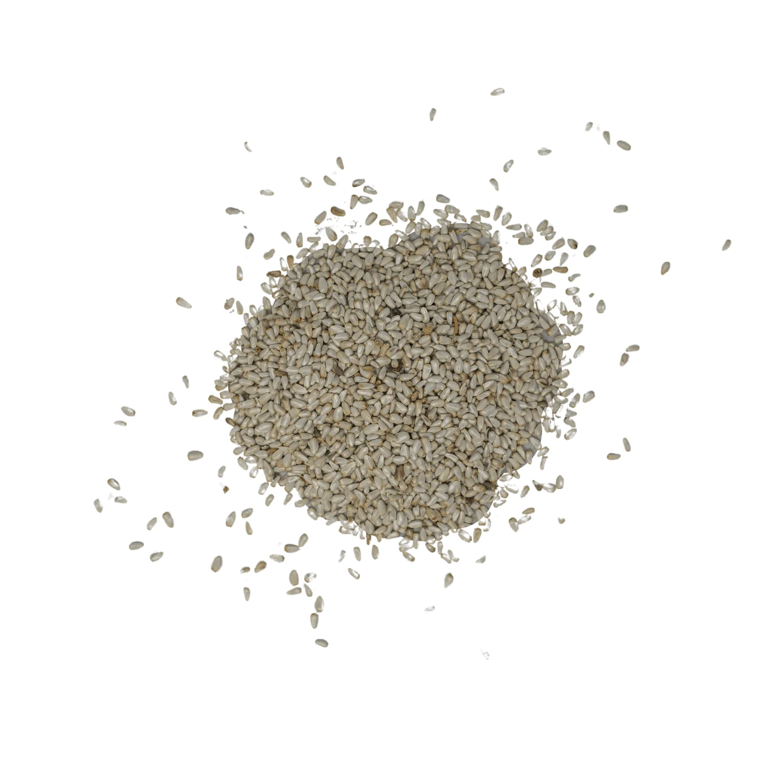 Safflower Seed Wild Bird Food - Image 3