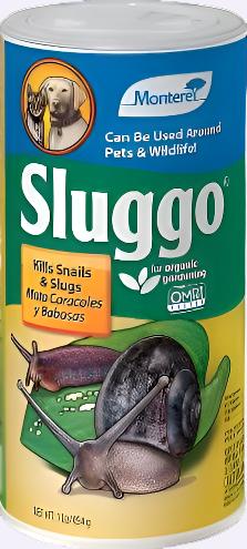 Monterey Sluggo