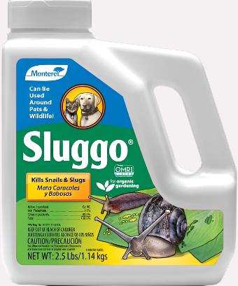 Monterey Sluggo - Image 2