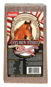 Sturdy Steed Mineral Brick 4lb - Image 2