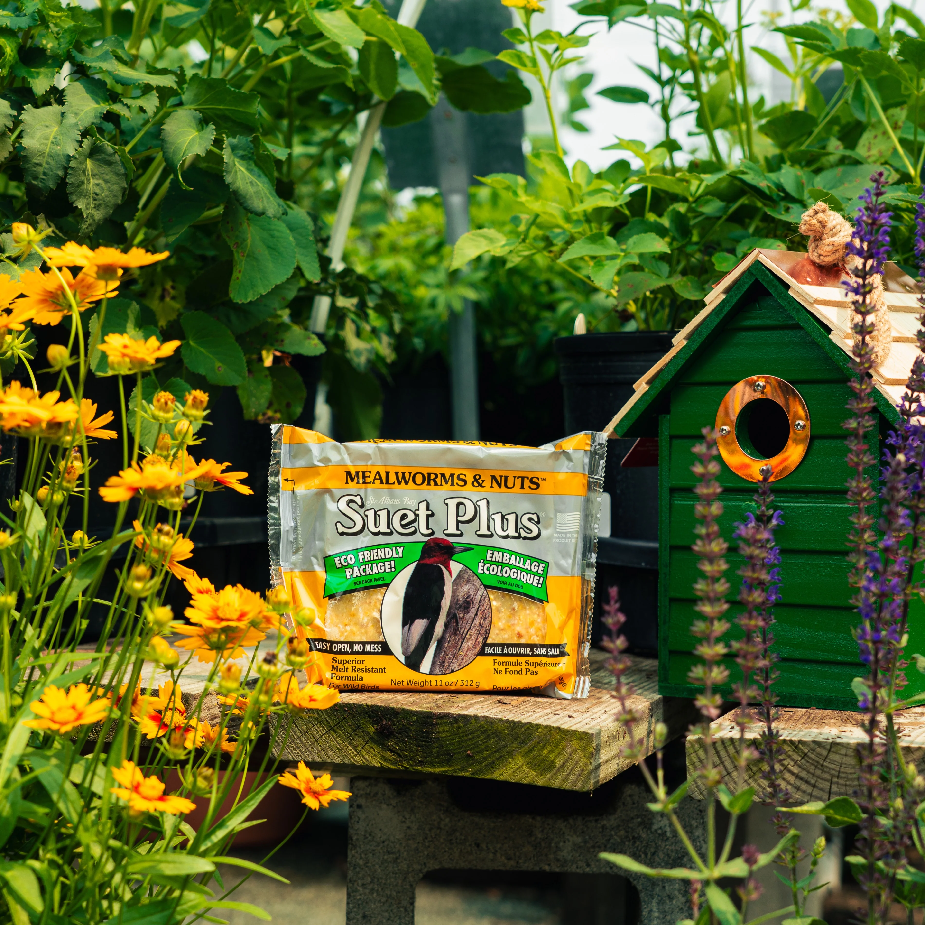 Suet Plus Mealworms and Nuts Suet Cake