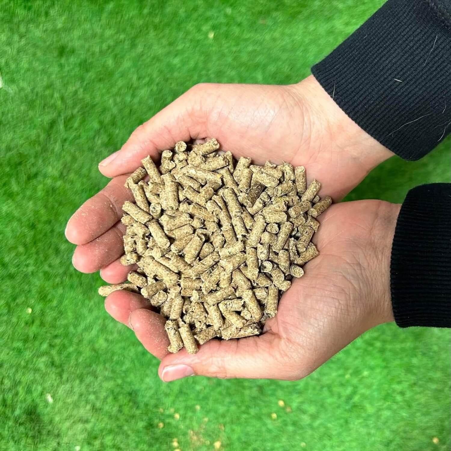 Sunglo Full Body Cattle Feed, 50 lb - Image 2