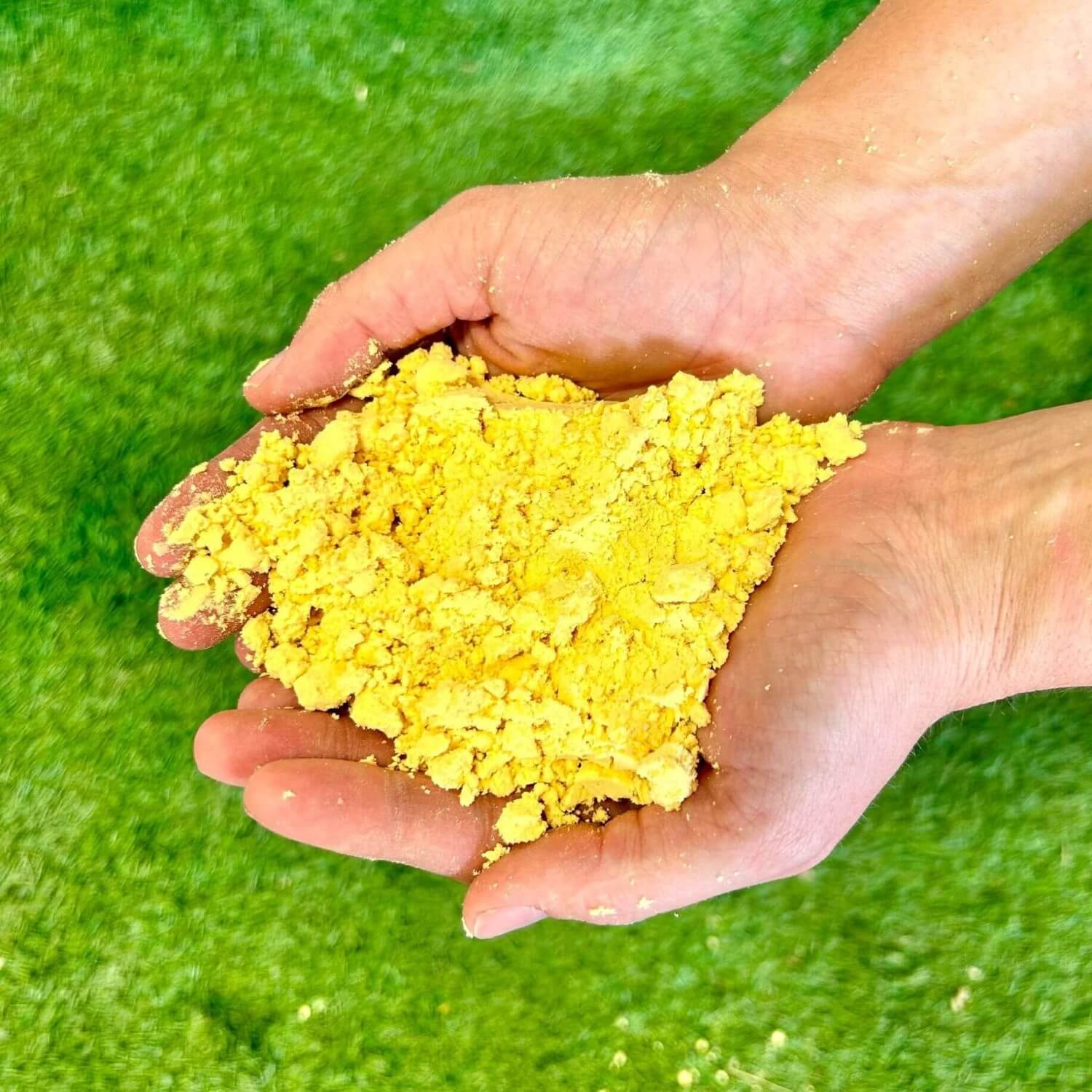 Sunglo Game On Show Feed Supplement, 8 and 20 lb - Image 3