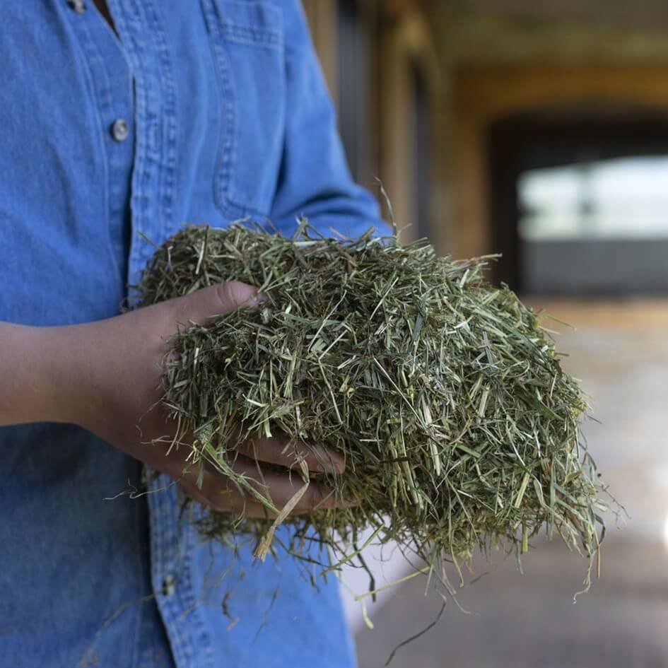 Triple Crown Premium Grass Forage Horse Feed - Image 2