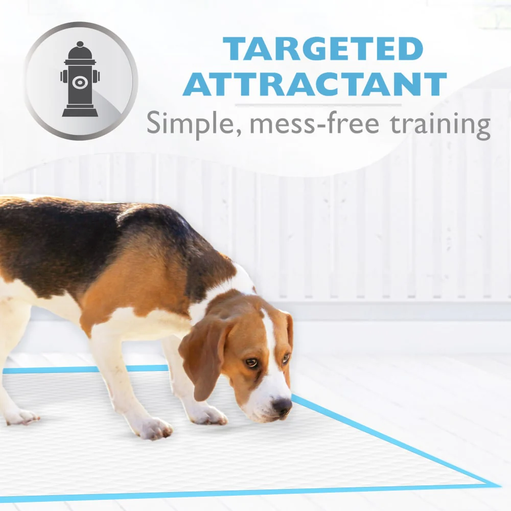 Wee-Wee® Superior Performance Dog Pee Pads - Image 2