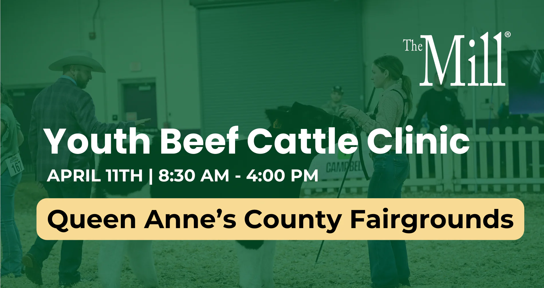 Youth Beef Cattle Clinic